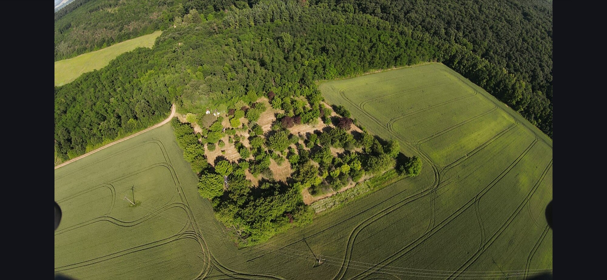 Ovocný sad na samote pri lese
